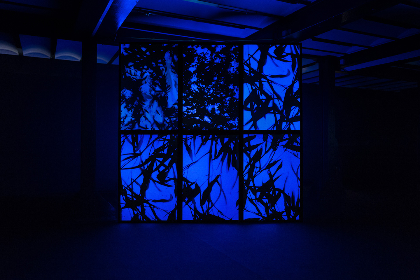 Meia-Noite