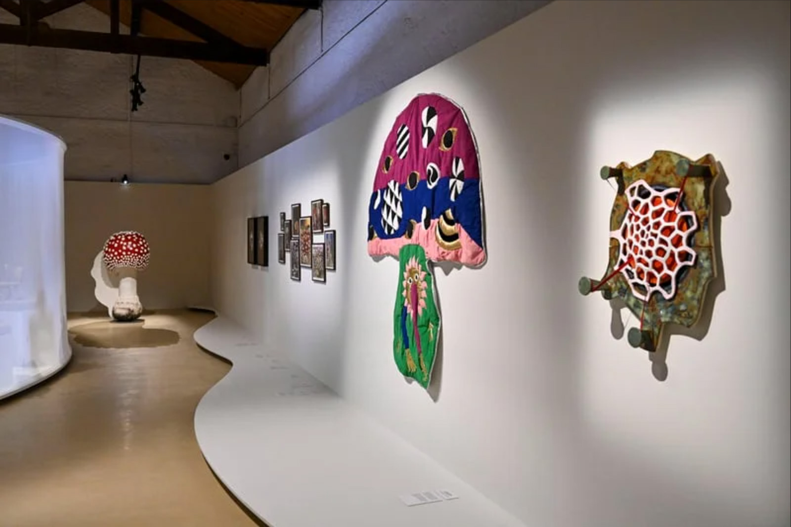 A Arte dos Cogumelos
