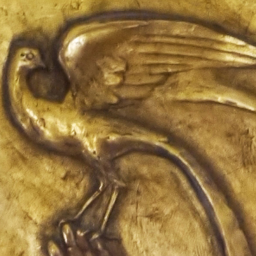 Primavera Rara